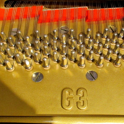 ヤマハ G3E 型番