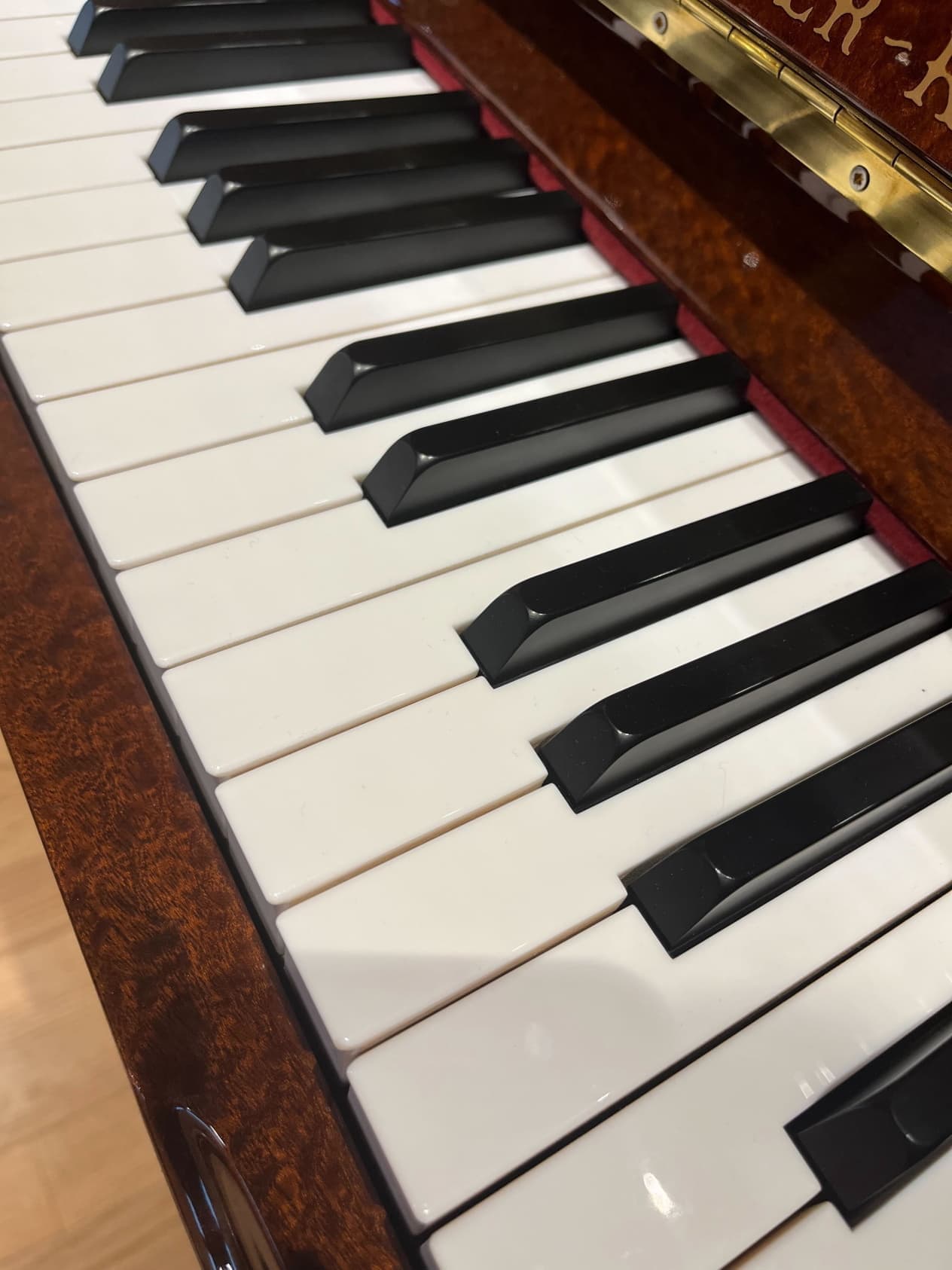 リーガークロス 122 鍵盤