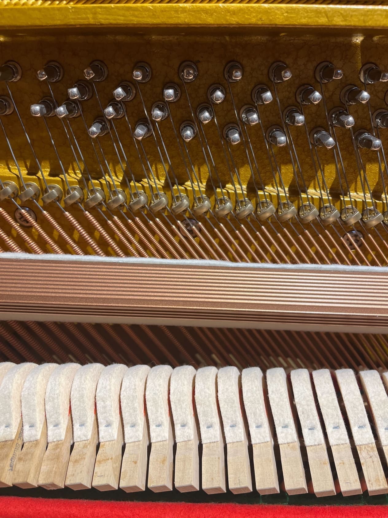 リーガークロス 122 アグラフ