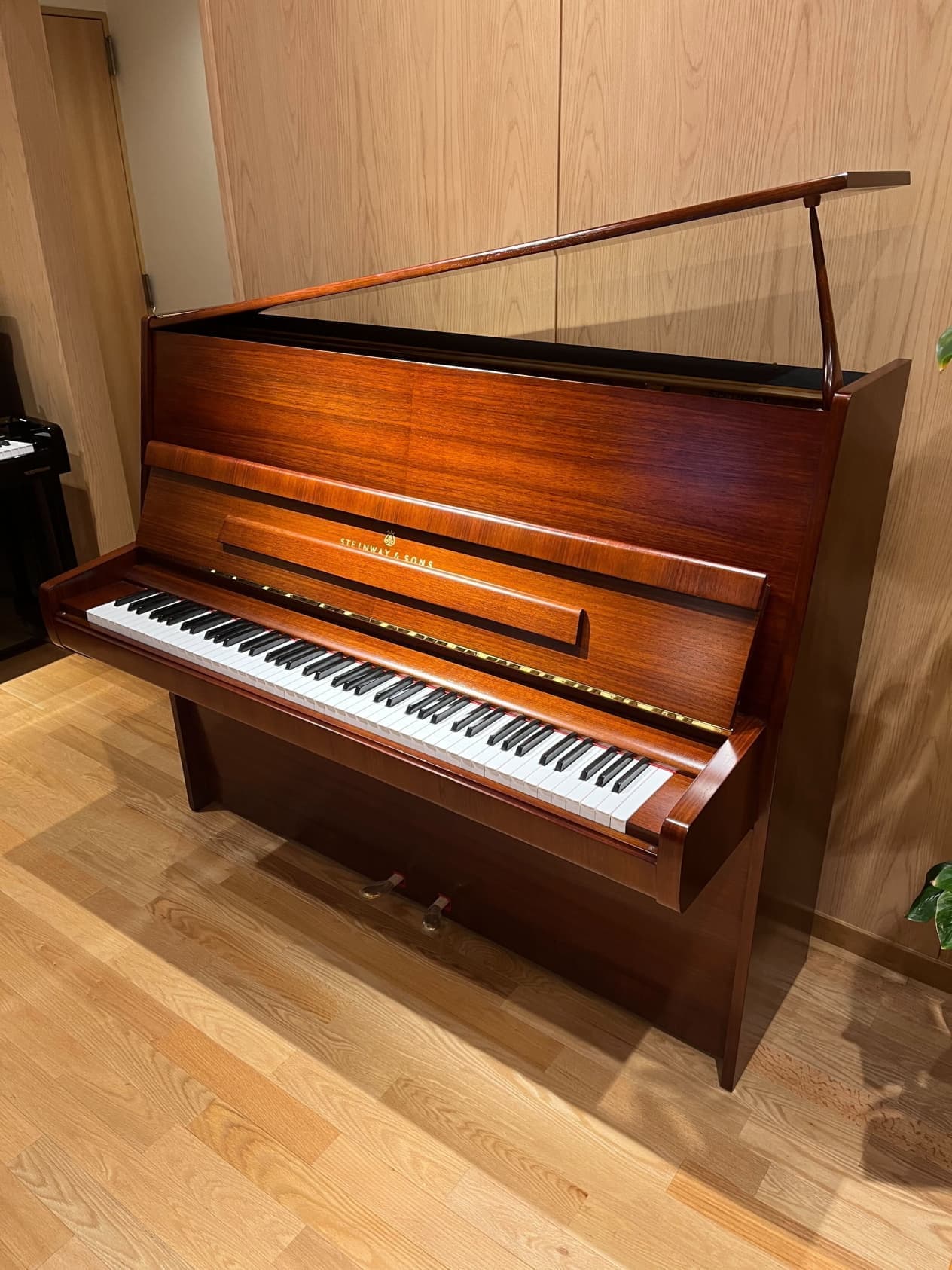 スタインウェイ V