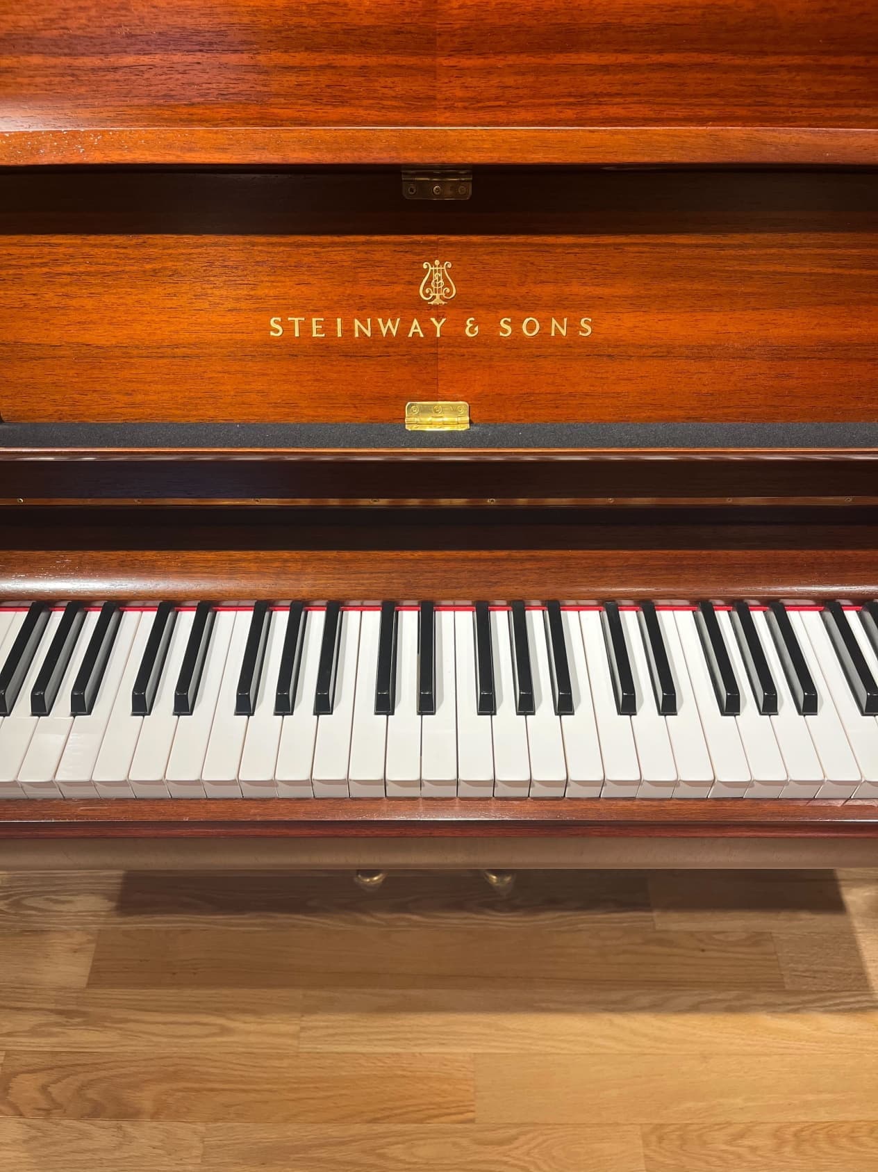 スタインウェイ V ロゴ