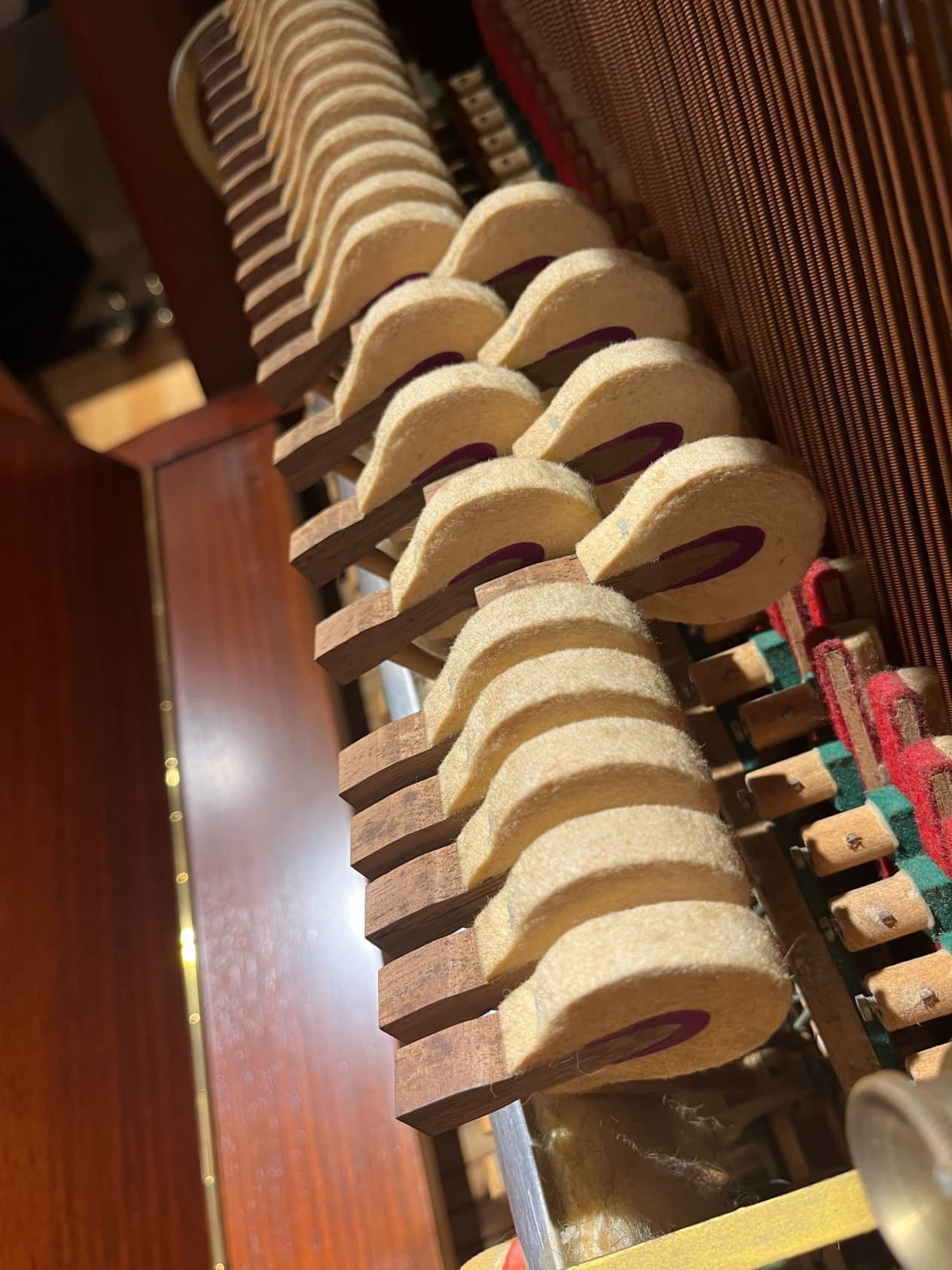 スタインウェイ V ハンマー