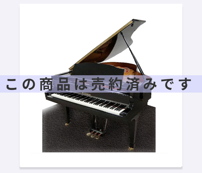 NX40(2116)