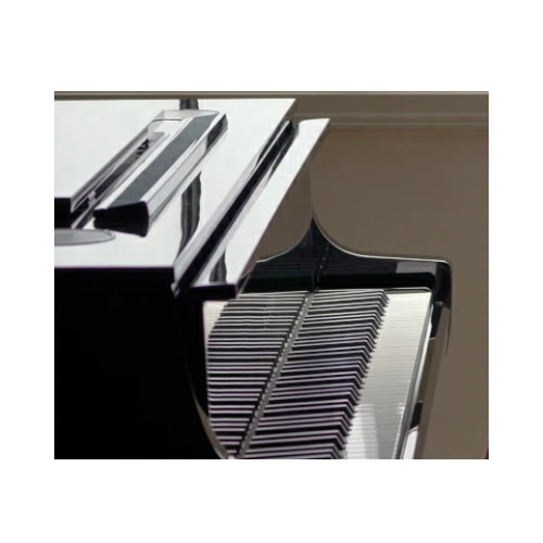 ハイブリットピアノNV12