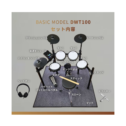 dwt100set1.jpg
