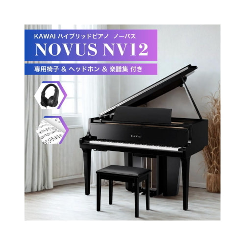 ハイブリットピアノNV12
